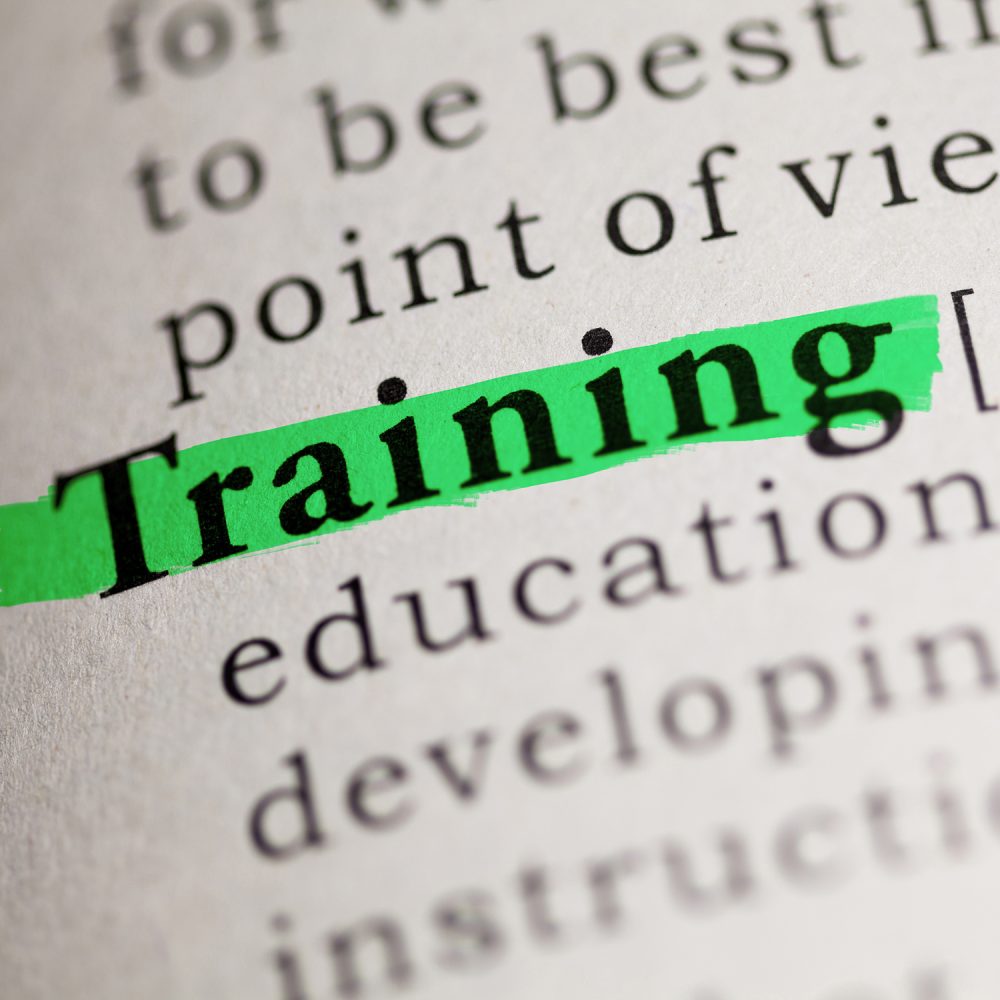 Fake Dictionary, Dictionary definition of the word Training.